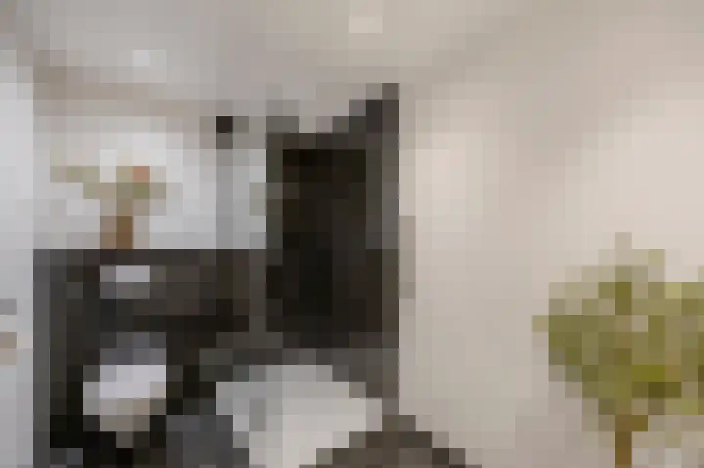 Olmstraat 4 Echt thumbnail 41