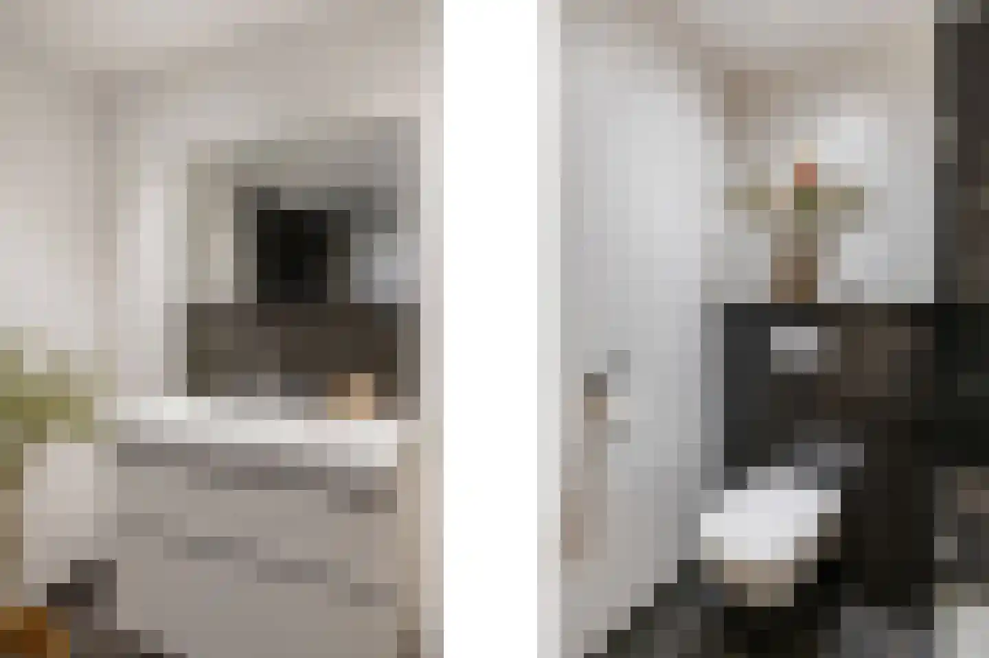 Olmstraat 4 Echt thumbnail 42