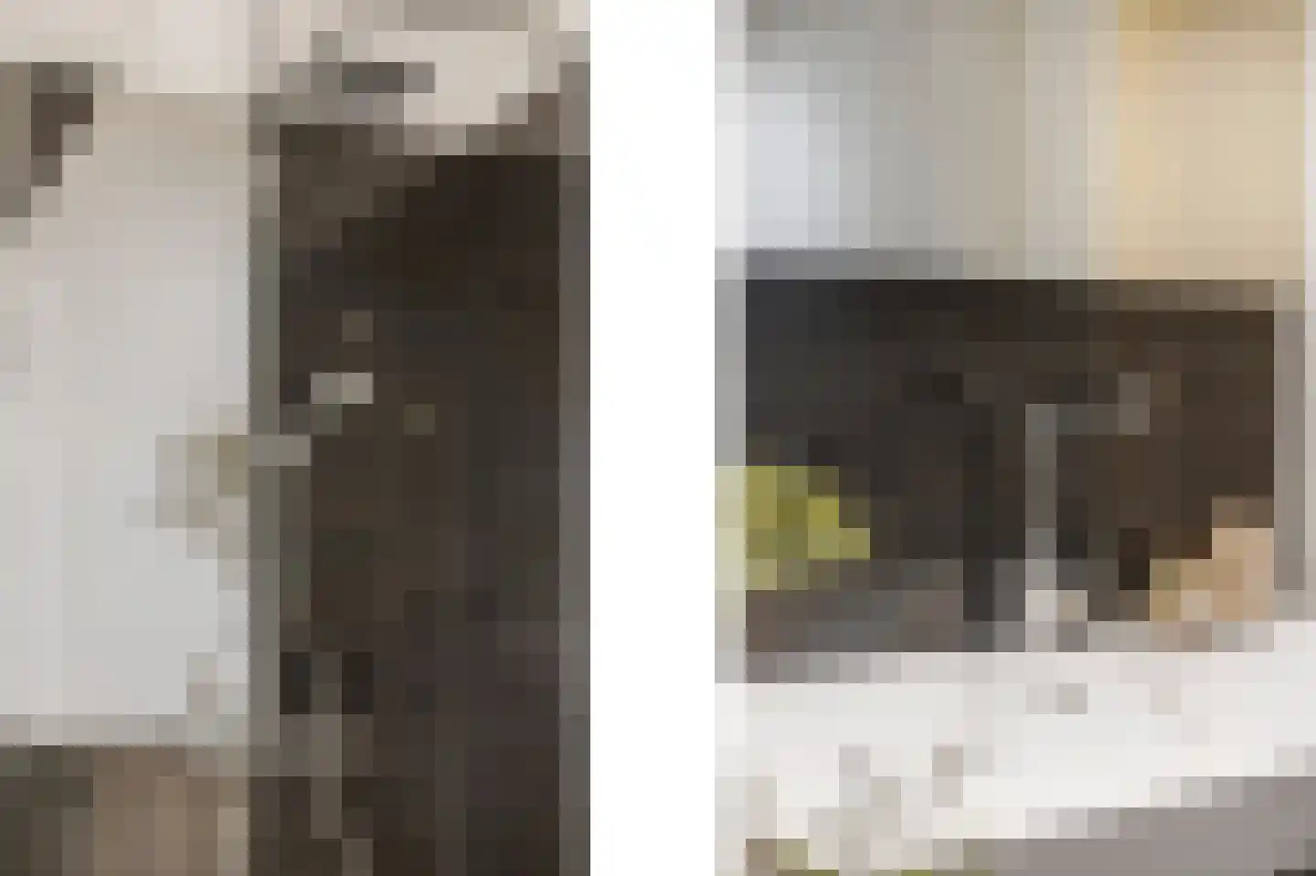 Olmstraat 4 Echt thumbnail 43