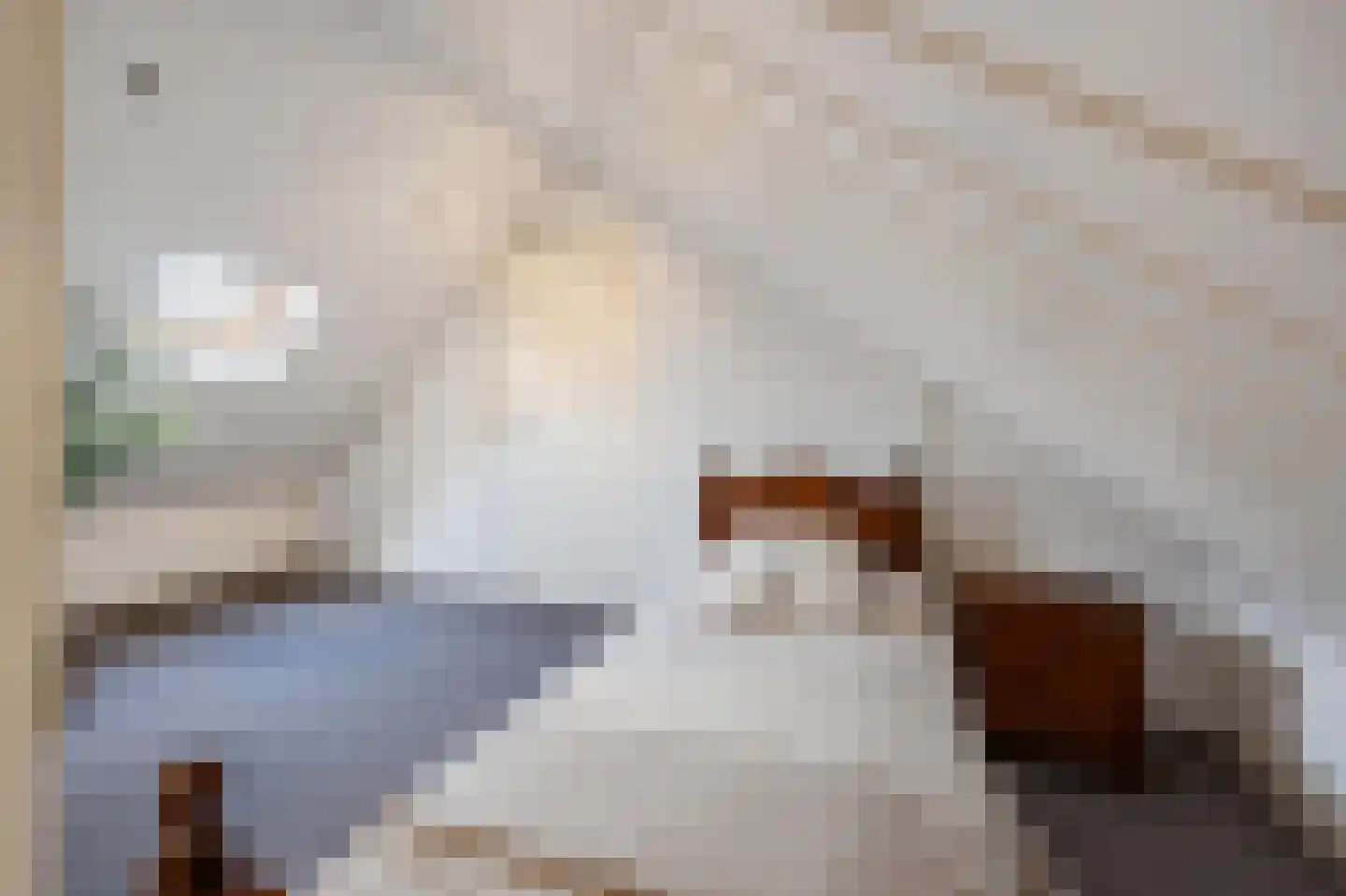 Olmstraat 4 Echt thumbnail 45
