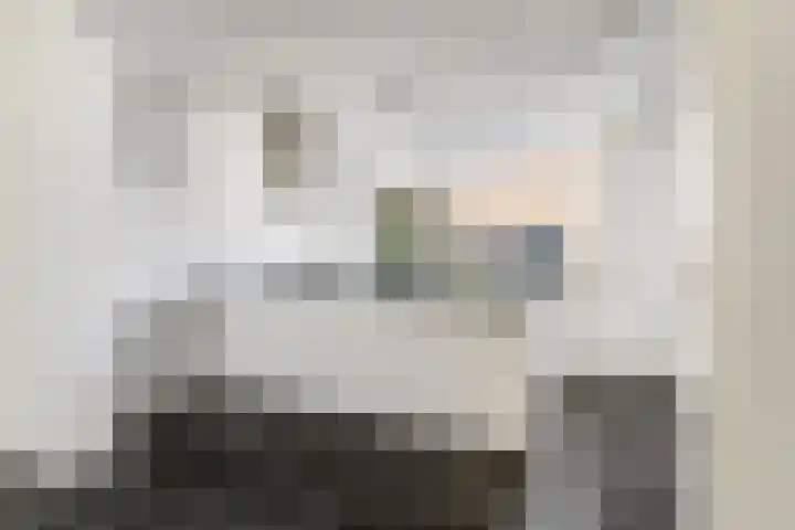 Olmstraat 51 Breda thumbnail 13