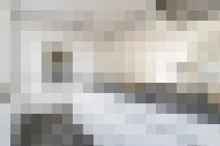 Olmstraat 51 Breda thumbnail 15