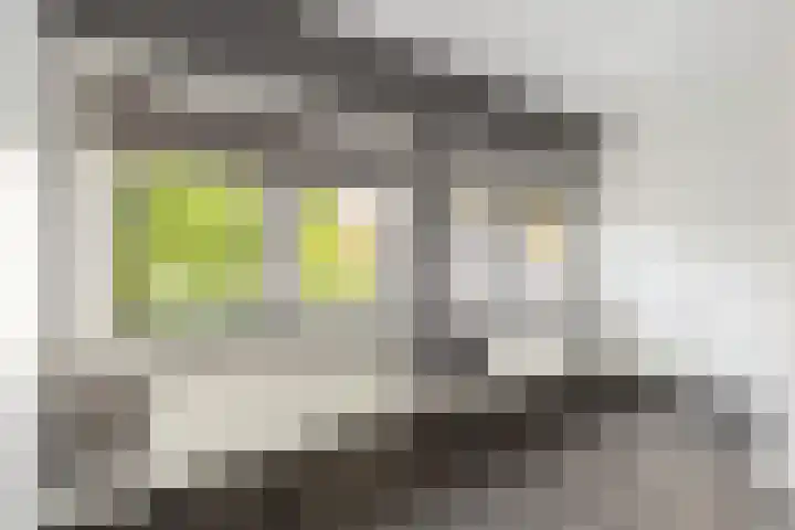 Olmstraat 51 Breda thumbnail 23