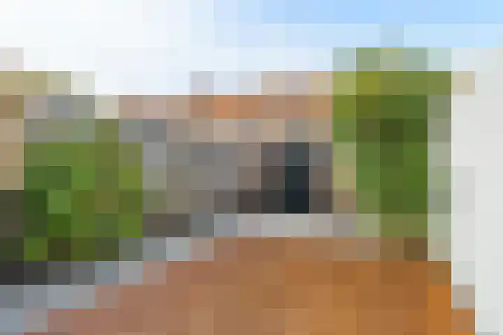 Olmstraat 51 Breda thumbnail 30