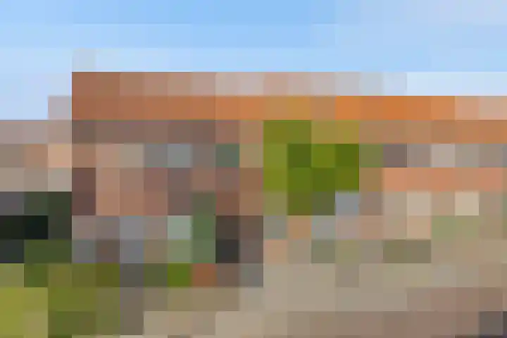 Olmstraat 51 Breda thumbnail 32