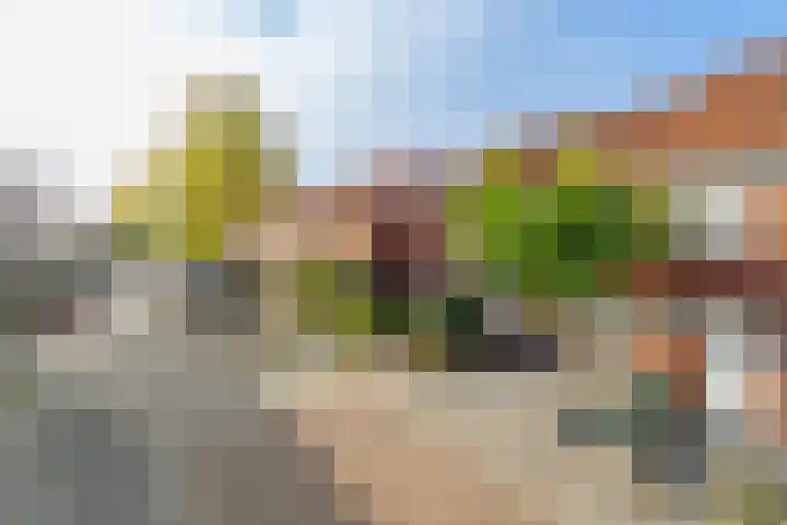 Olmstraat 51 Breda thumbnail 33