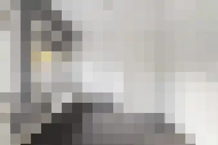 Olmstraat 51 Breda thumbnail 5