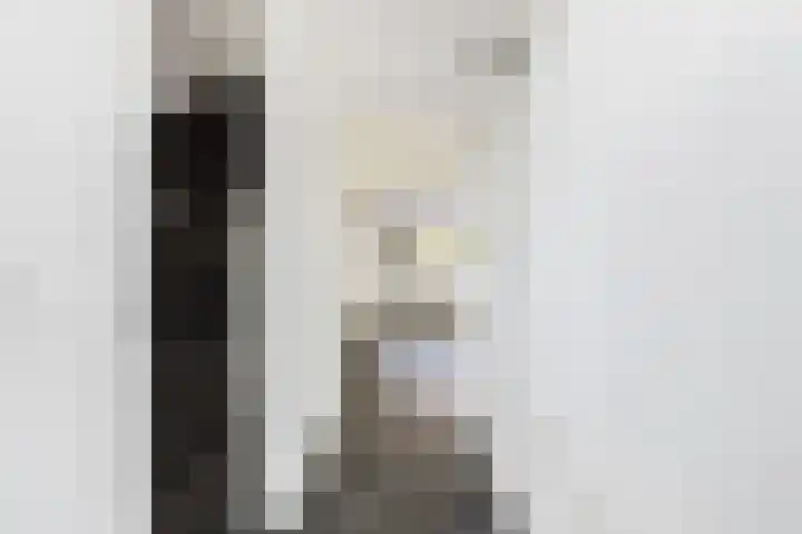 Olmstraat 51 Breda thumbnail 8
