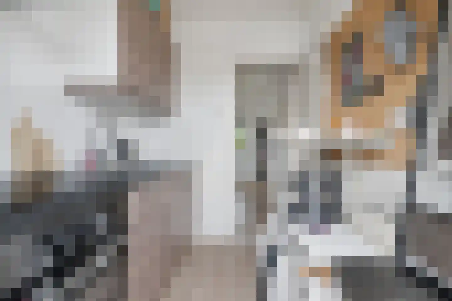 Olmstraat 6 Breda thumbnail 45