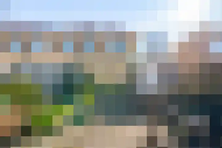 Olmstraat 68 Echt thumbnail 18