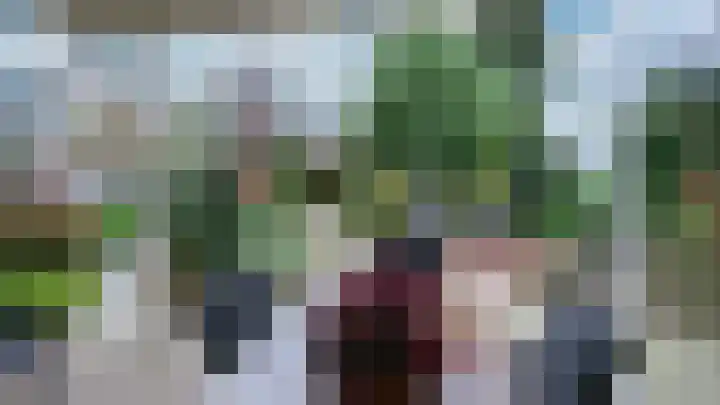 Olmstraat 68 Echt thumbnail 21
