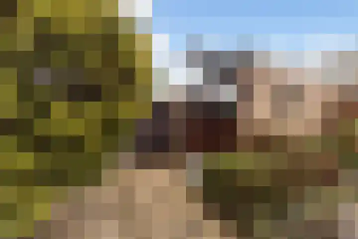 Olmstraat 68 Echt thumbnail 9