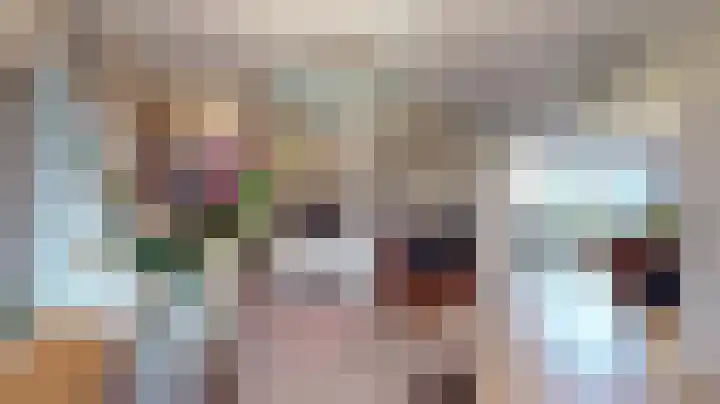Olmstraat 68 Echt thumbnail 9
