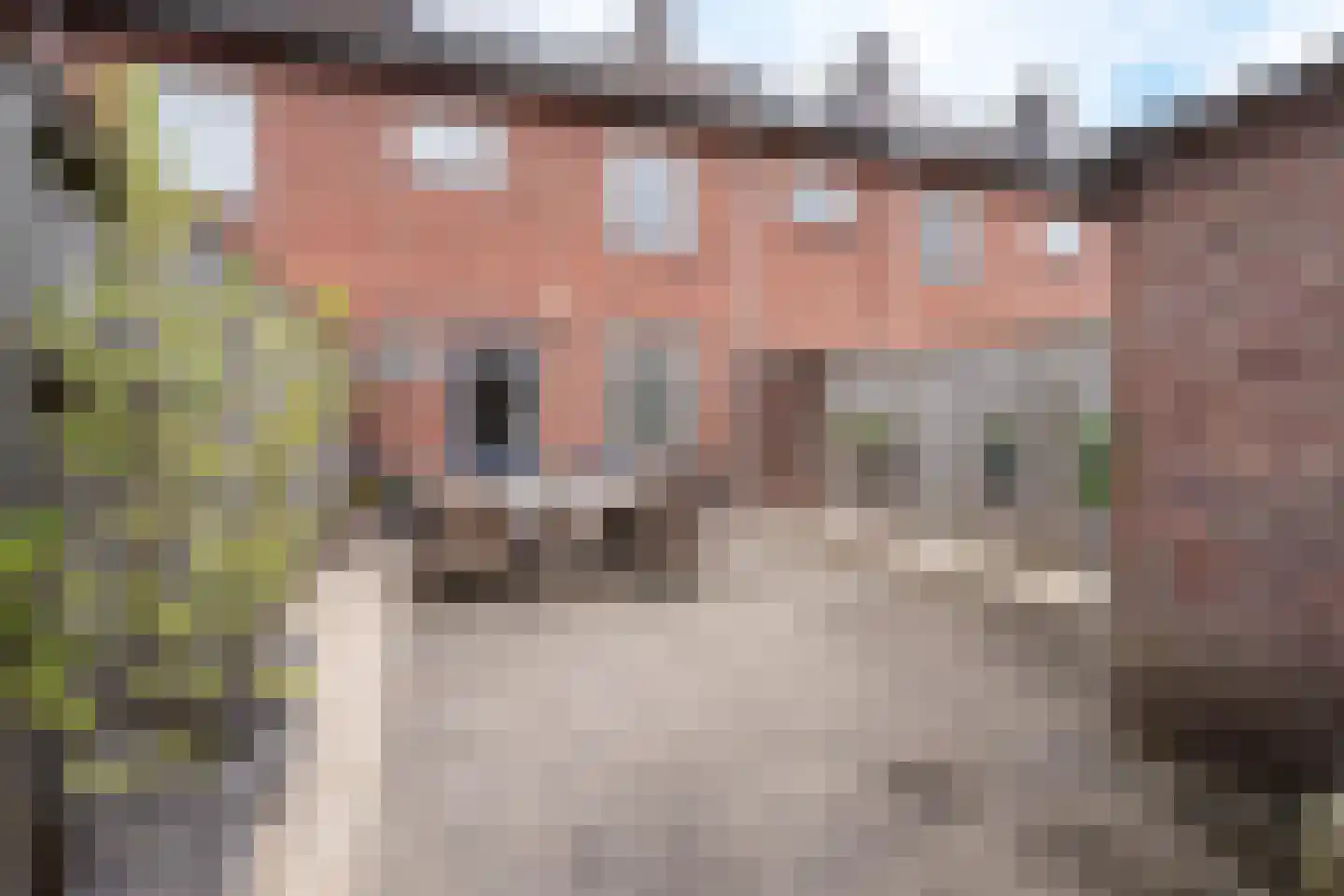 Olmstraat 83 Breda thumbnail 14