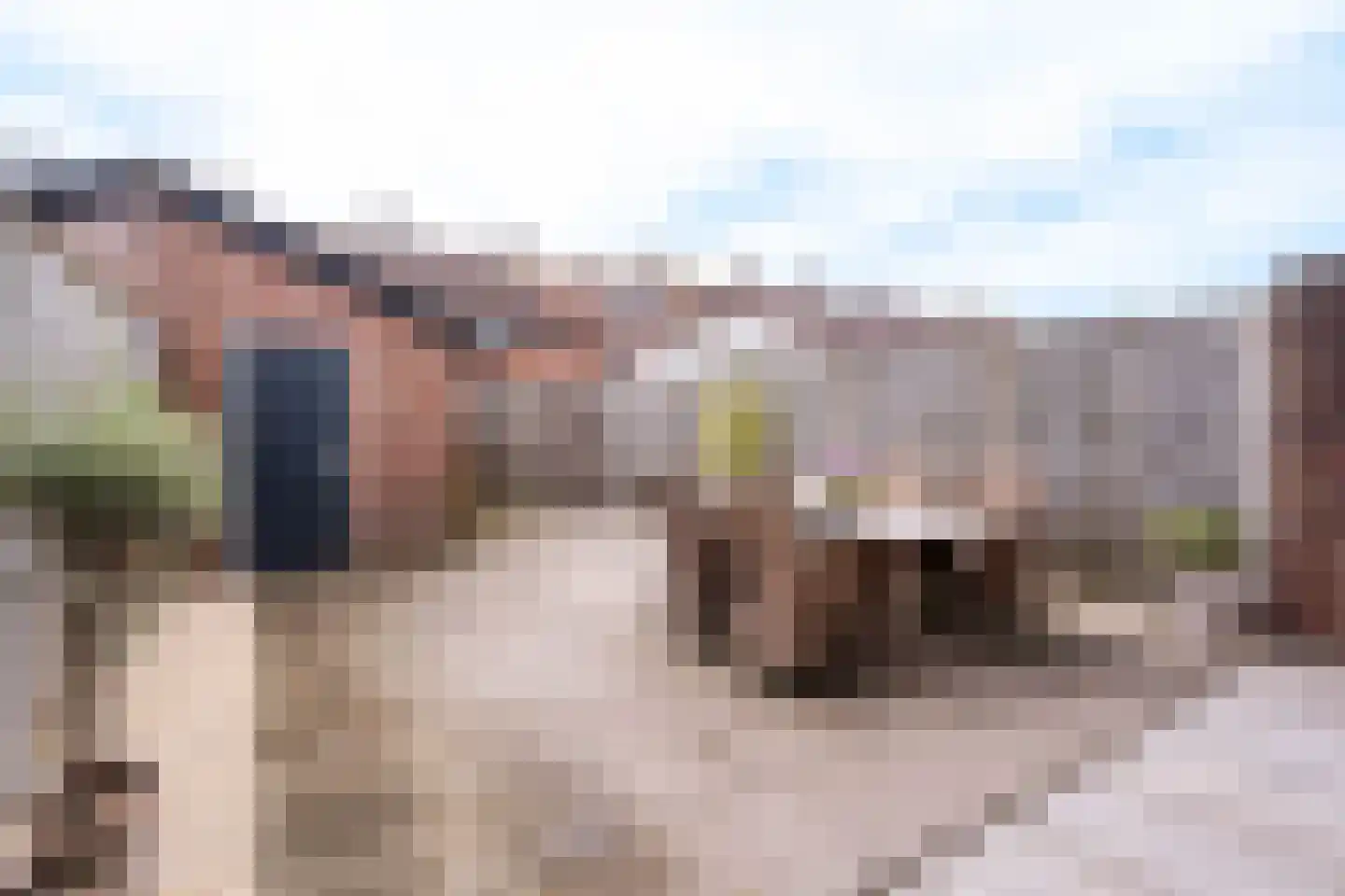 Olmstraat 83 Breda thumbnail 4