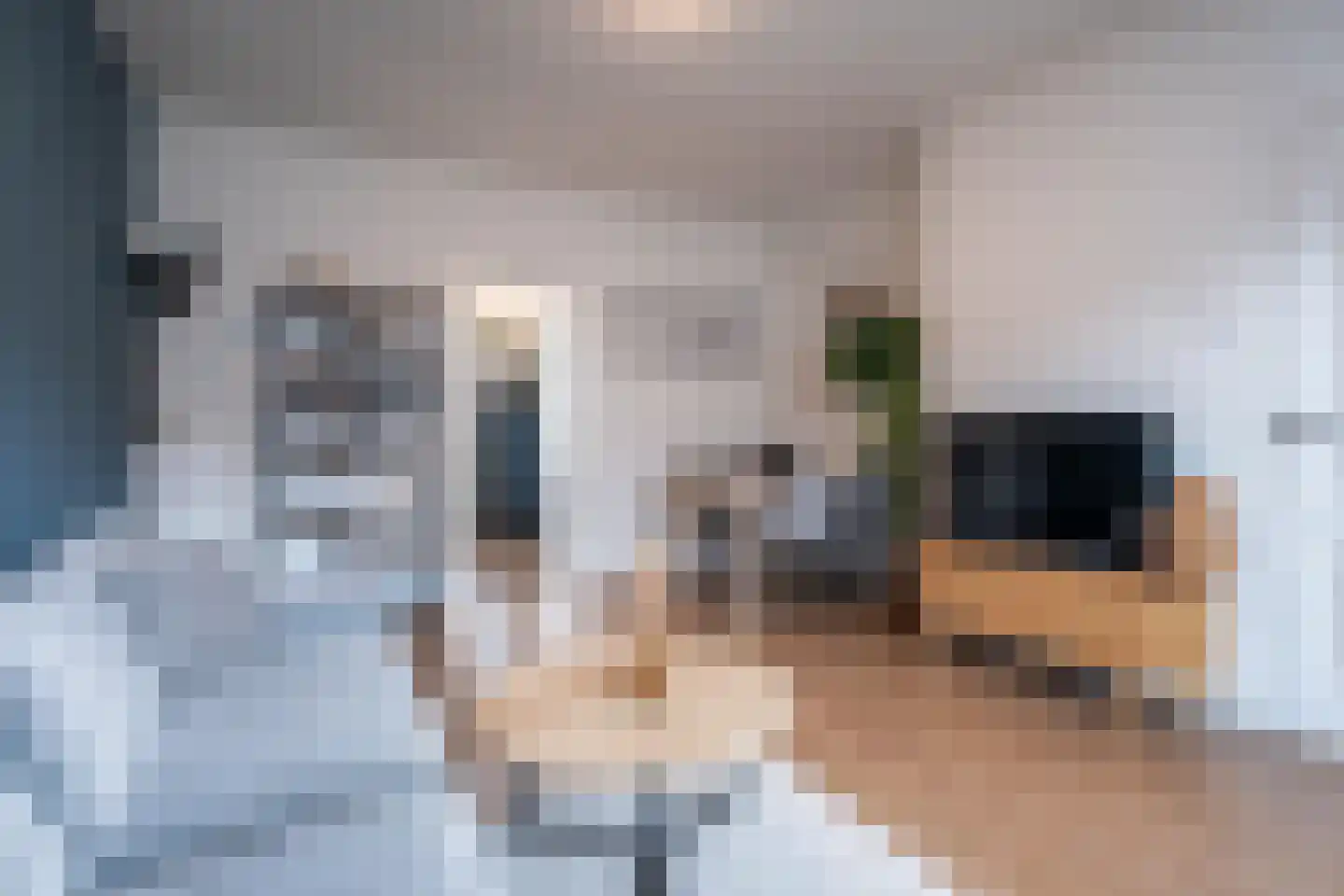 Olmstraat 83 Breda thumbnail 8