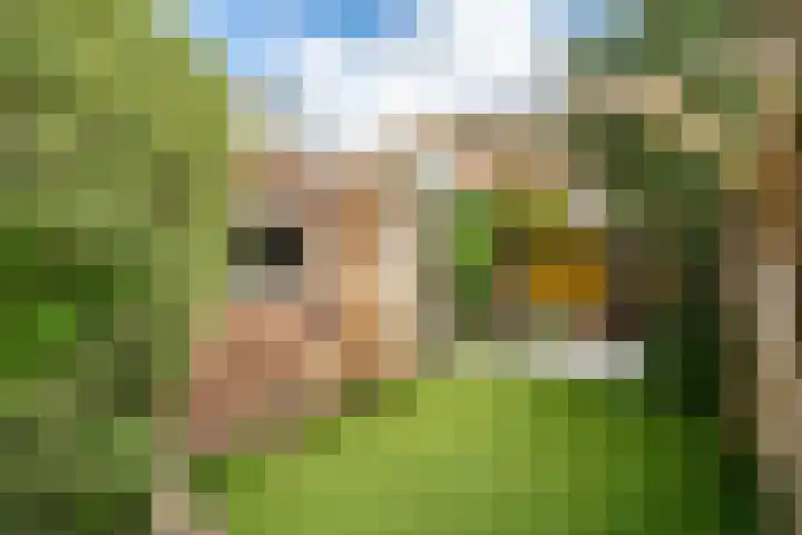 Olmstraat 9 Rijswijk thumbnail 11