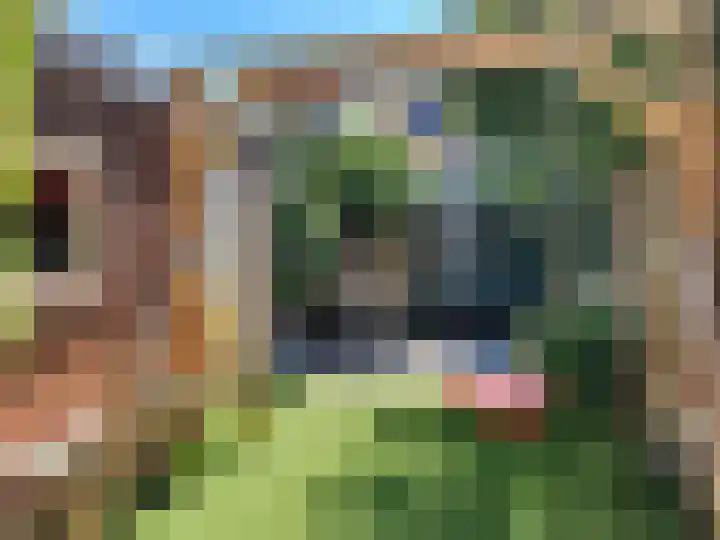 Olmstraat 9 Rijswijk thumbnail 12