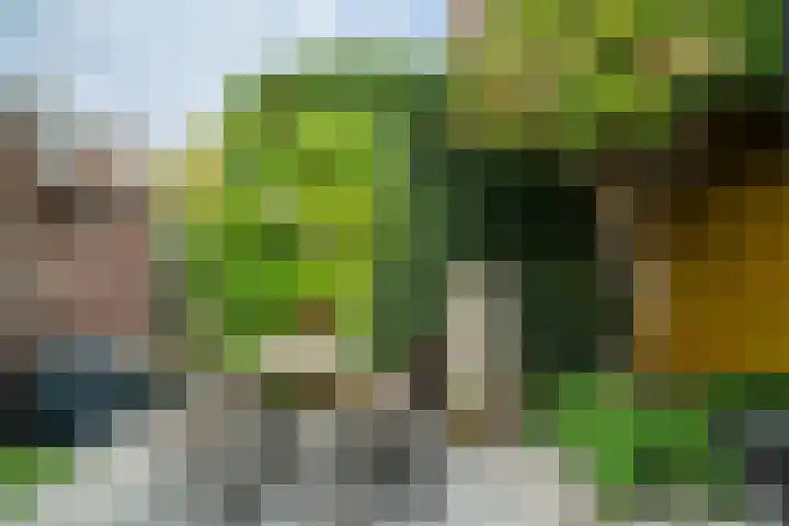 Olmstraat 9 Rijswijk thumbnail 16