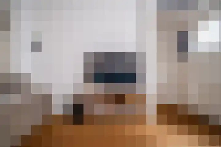 Olmstraat 9 Rijswijk thumbnail 27