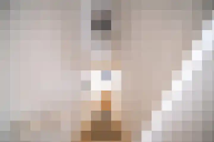 Olmstraat 9 Rijswijk thumbnail 32