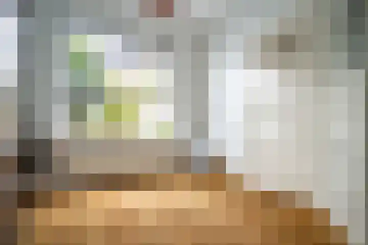 Olmstraat 9 Rijswijk thumbnail 37