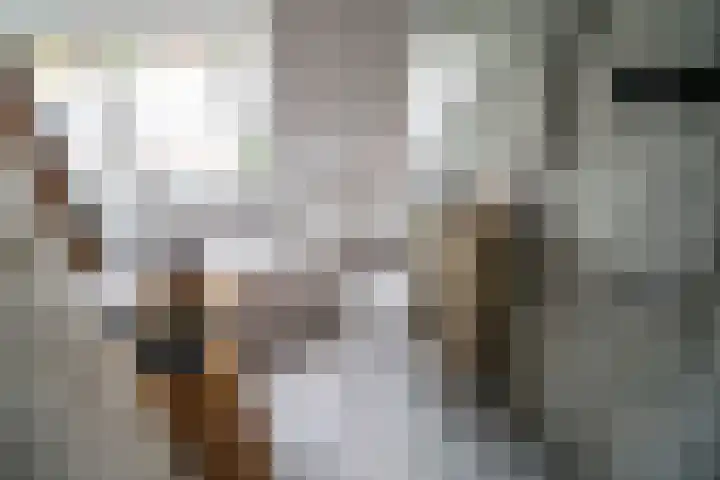 Olmstraat 9 Rijswijk thumbnail 40