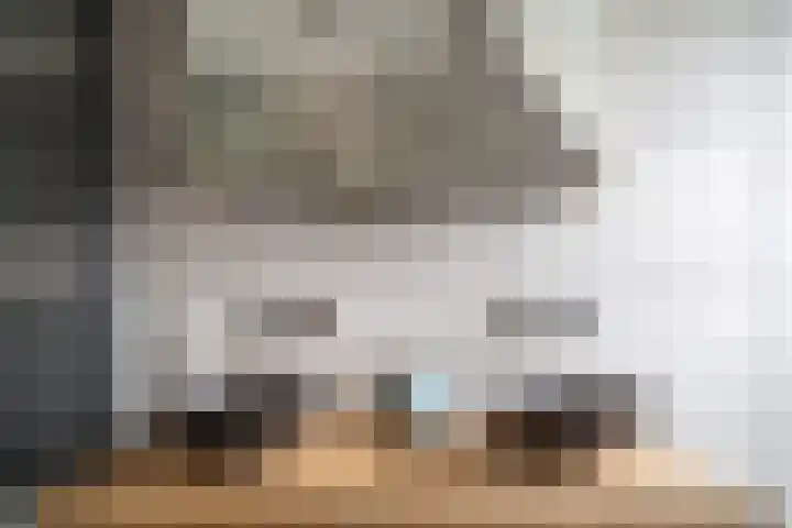 Olmstraat 9 Rijswijk thumbnail 42