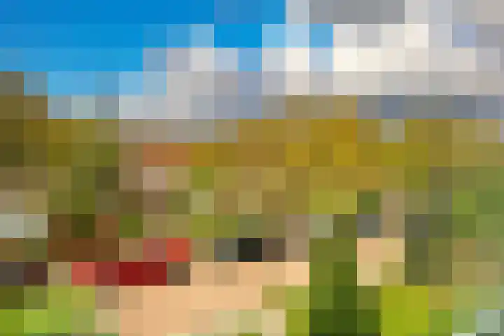 Olmstraat 9 Rijswijk thumbnail 46