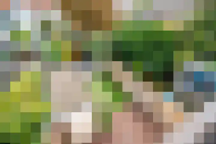 Olmstraat 9 Rijswijk thumbnail 51