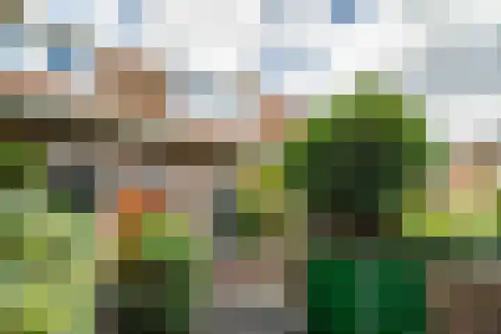 Olmstraat 9 Rijswijk thumbnail 61