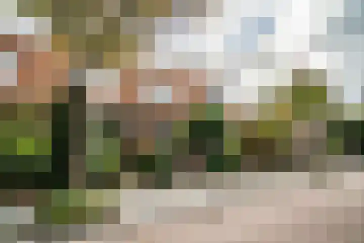 Olmstraat 9 Rijswijk thumbnail 62