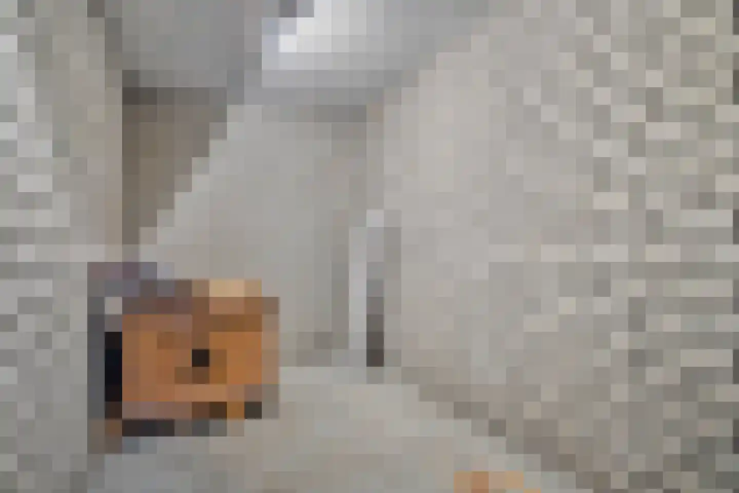 Olof Palmehof 21 Almere thumbnail 18