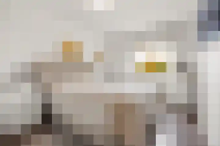 Olof Palmehof 31 Almere thumbnail 16