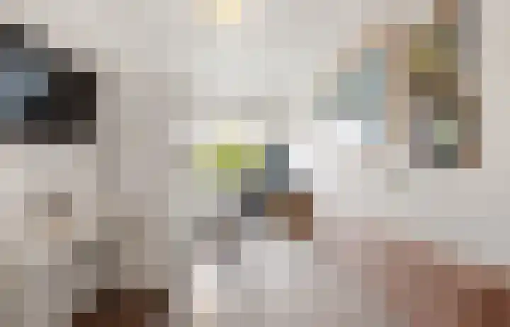 Olof Palmehof 31 Almere thumbnail 20