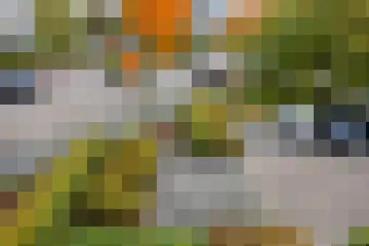 Olof Palmehof 31 Almere thumbnail 31