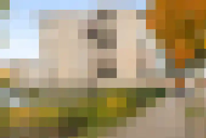 Olof Palmehof 31 Almere thumbnail 32