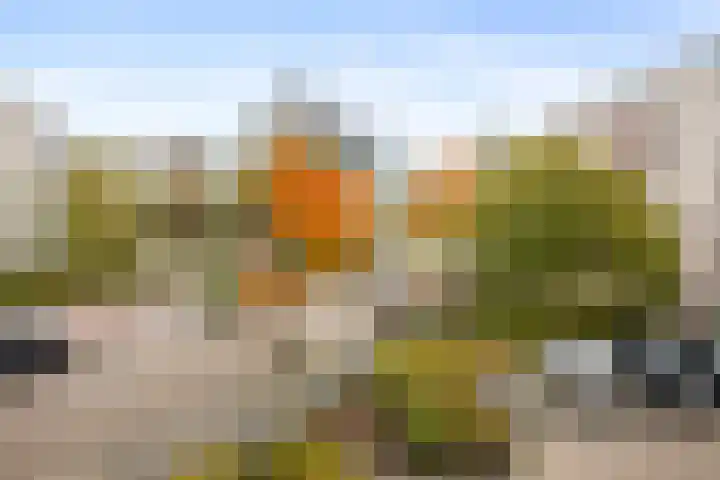 Olof Palmehof 31 Almere thumbnail 33
