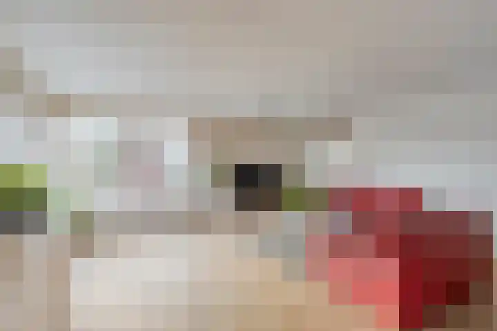 Olof Palmehof 7 Almere thumbnail 12