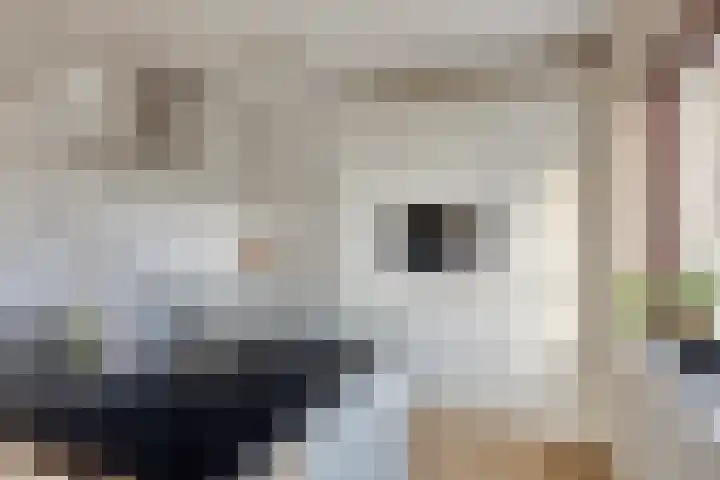 Olof Palmehof 7 Almere thumbnail 16