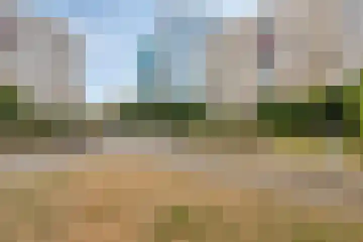 Olof Palmehof 7 Almere thumbnail 31