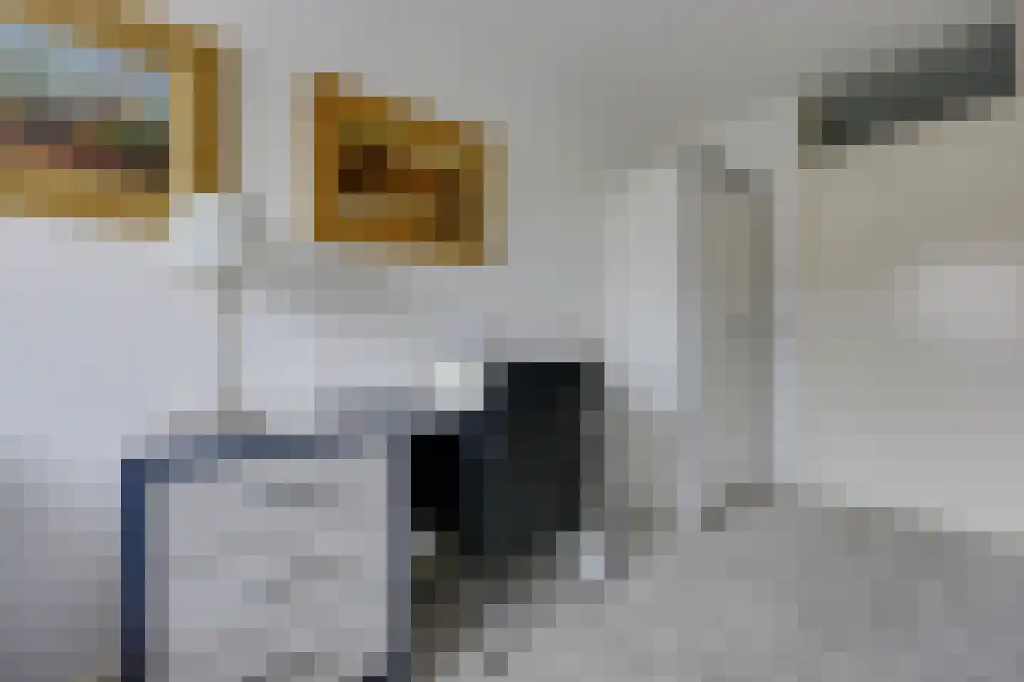 Olof Palmehof 85 Almere thumbnail 19