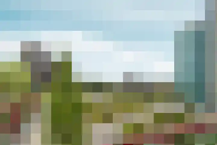 Olof Palmehof 93 Almere thumbnail 40