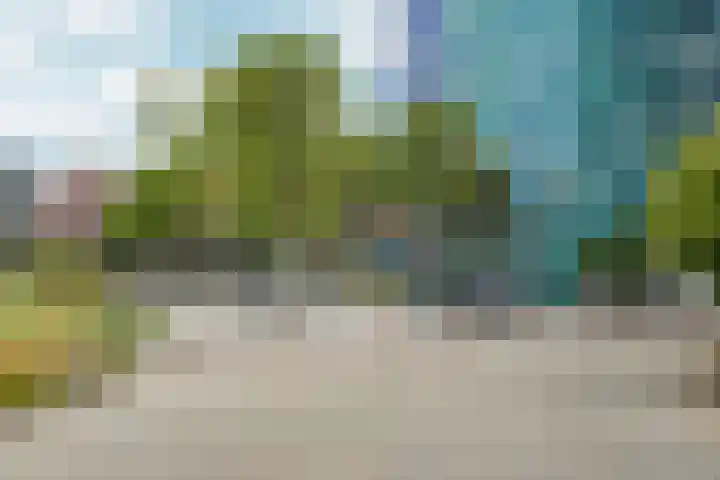 Olof Palmehof 93 Almere thumbnail 53