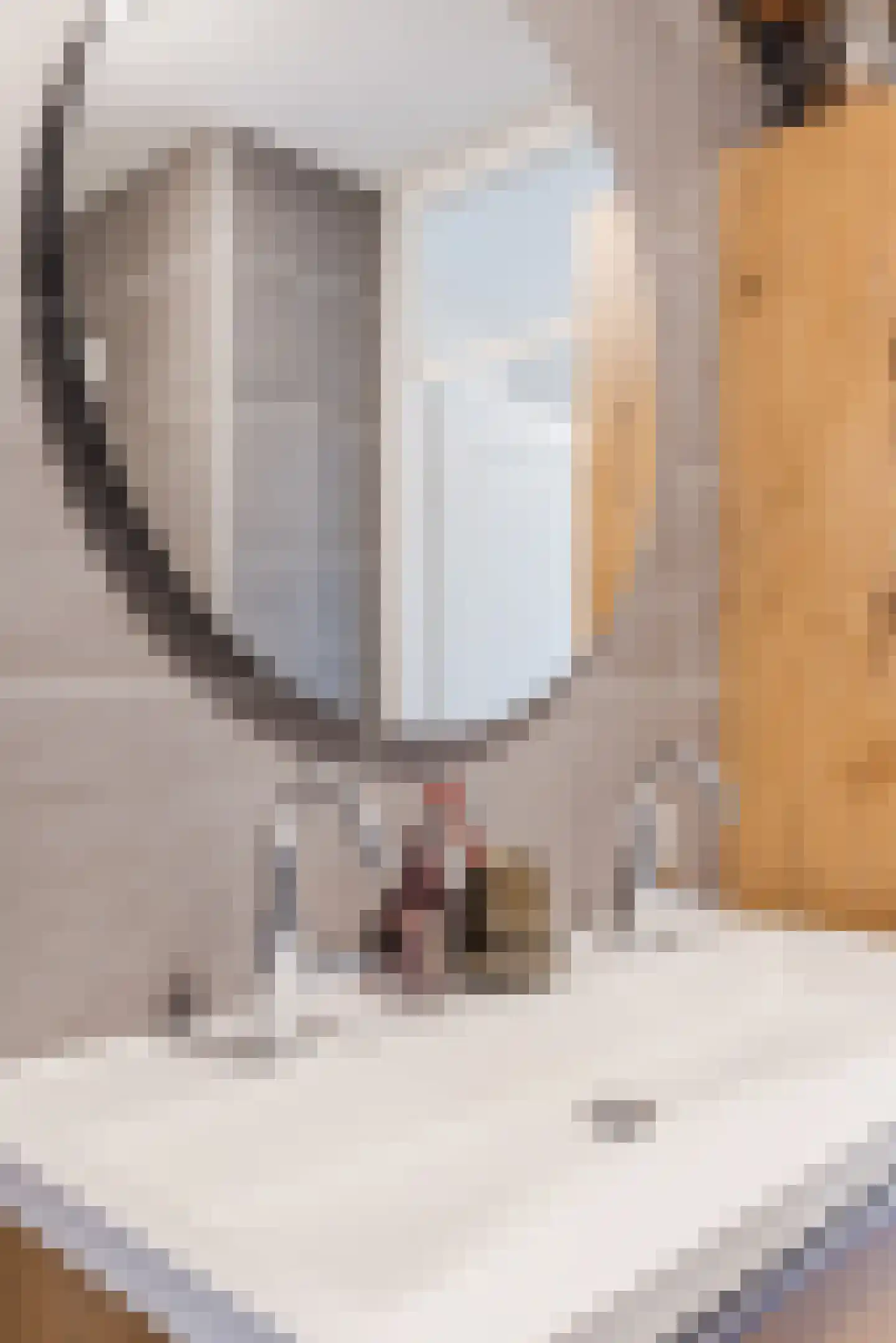 Olof Palmelaan 112 Utrecht thumbnail 30