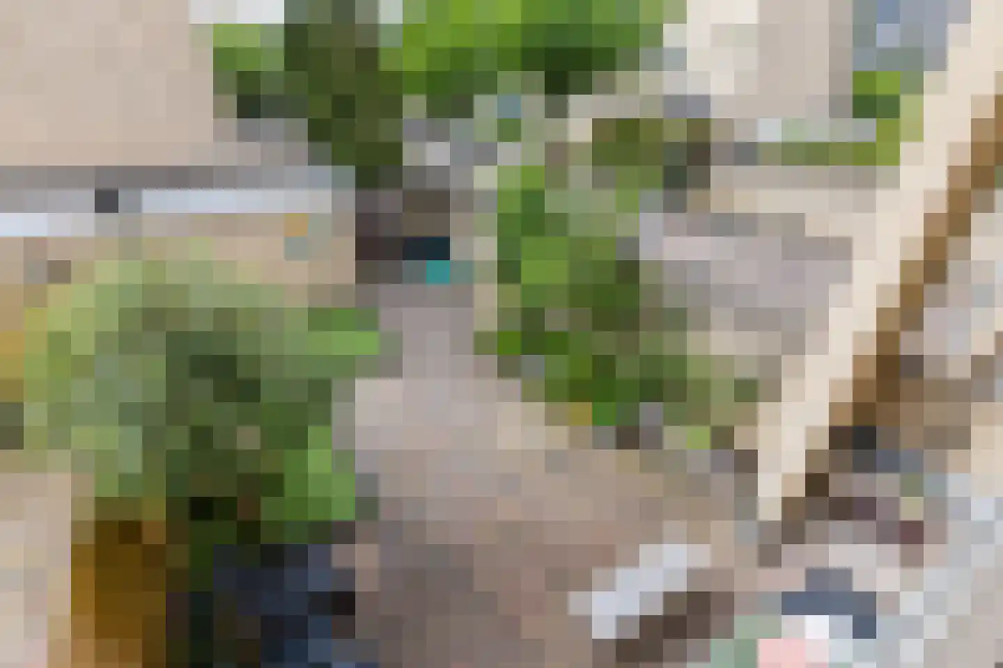 Olof Palmelaan 112 Utrecht thumbnail 32