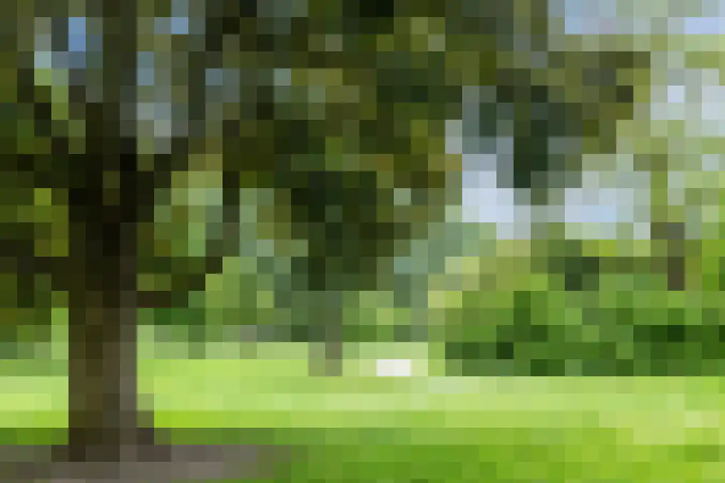 Olof Palmelaan 112 Utrecht thumbnail 55