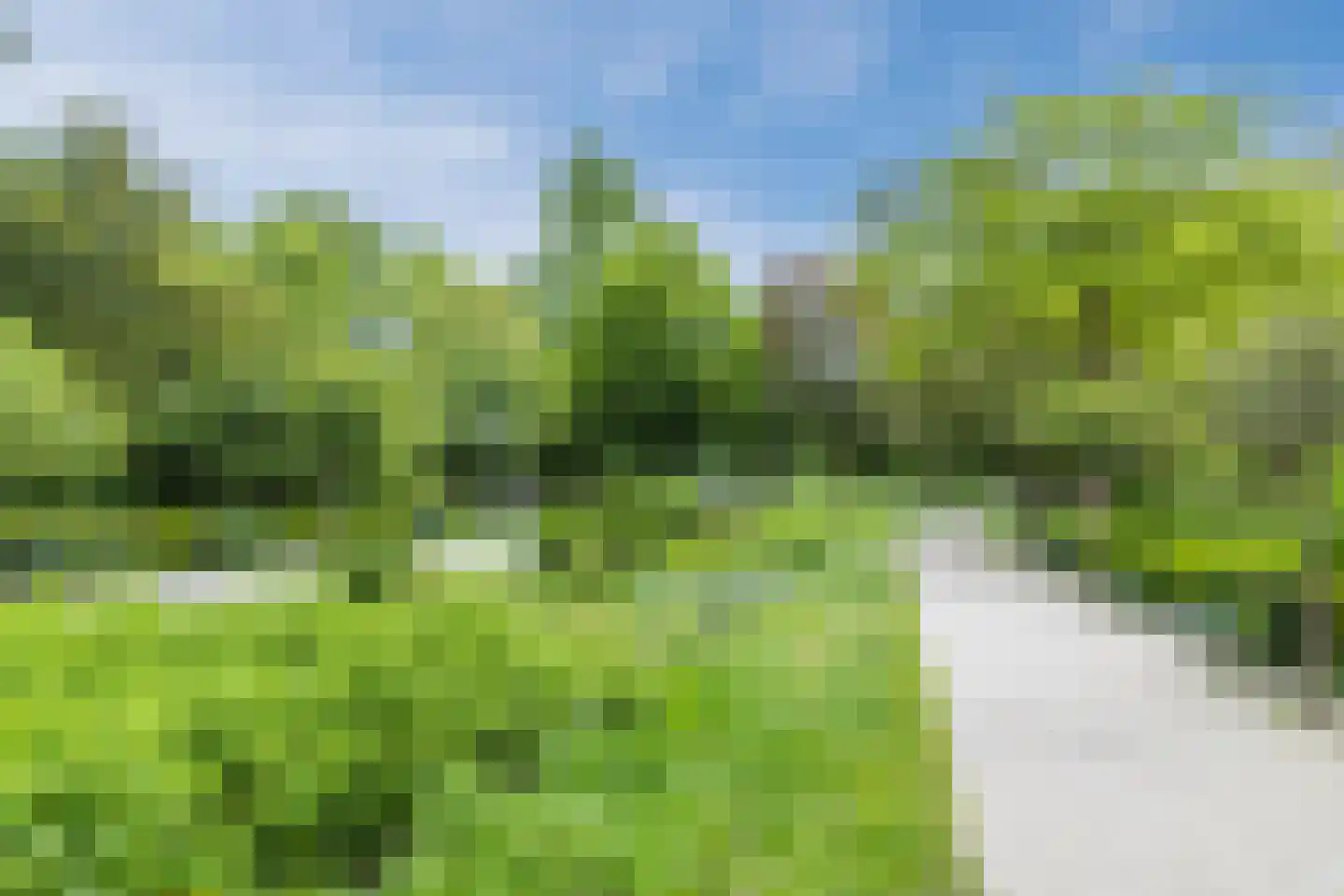 Olof Palmelaan 112 Utrecht thumbnail 56