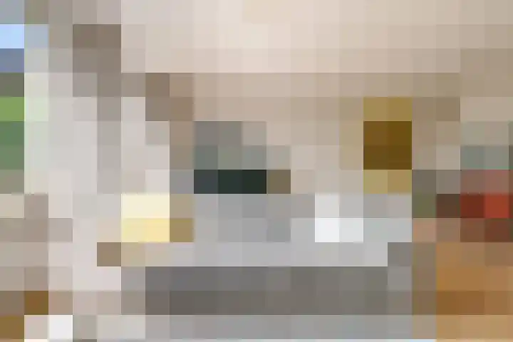 Olof Palmelaan 122 Utrecht thumbnail 11