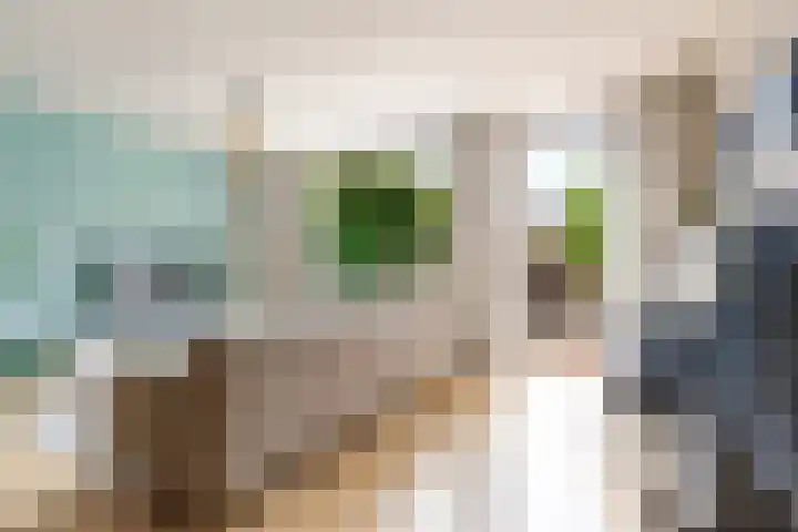 Olof Palmelaan 122 Utrecht thumbnail 12